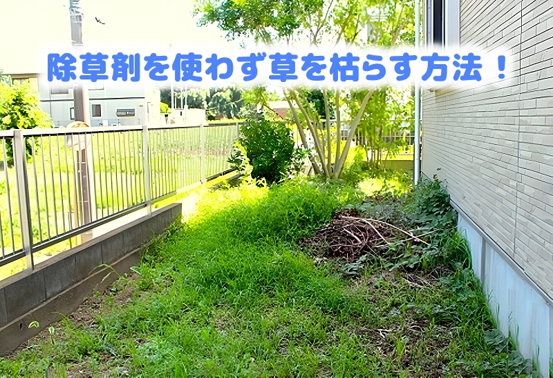 除草剤を使わず草を枯らす方法