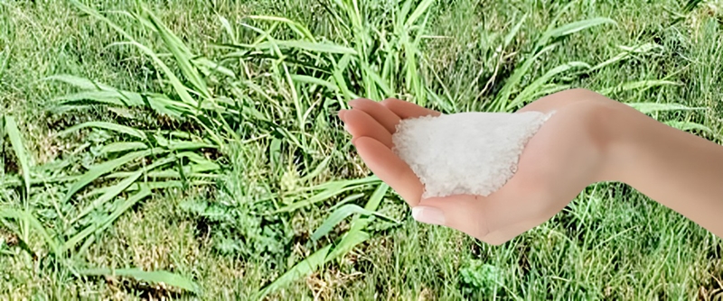 塩を活用した雑草を枯らす方法