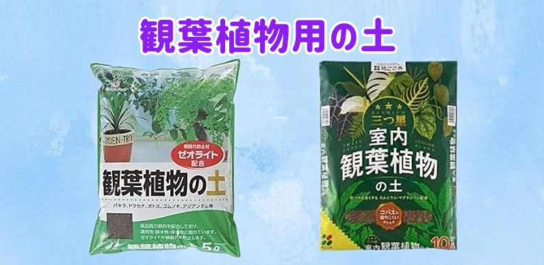 観葉植物用の土