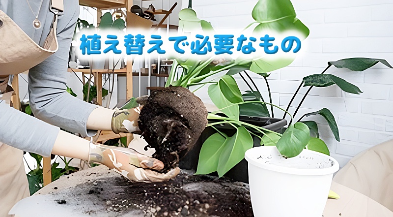 観葉植物の植え替えに必要なもの