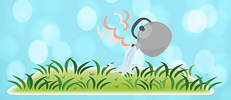 熱湯を雑草に掛ける様子