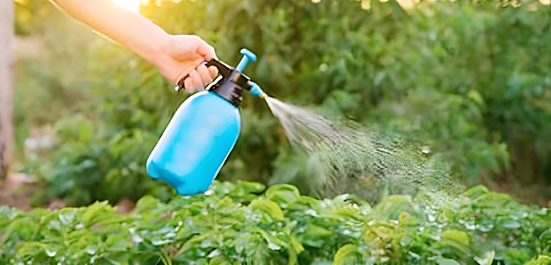 除草剤を撒く様子