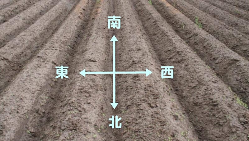 畝の向きの良い例