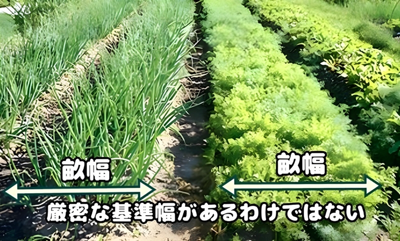 決められた基準幅はない