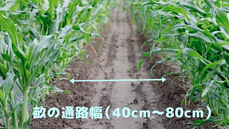 畝幅の通路幅