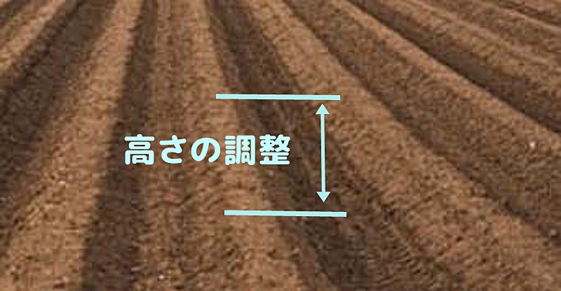 畑の畝の高さの様子