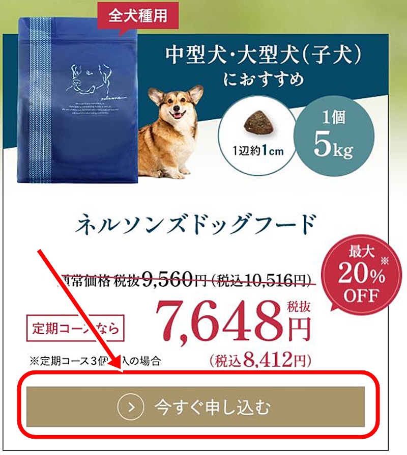 公式サイトの「今すぐ申し込む」をクリックする画面