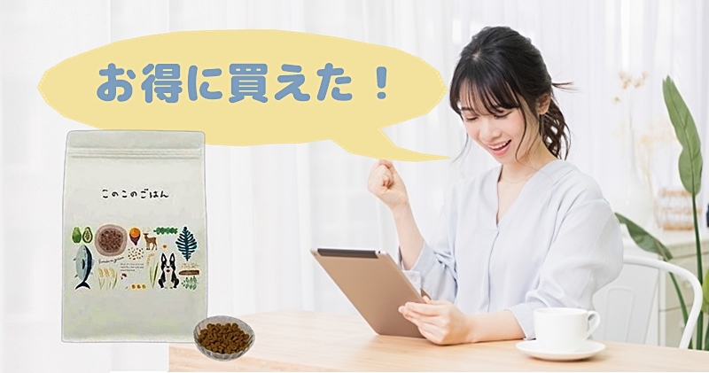 このこのごはん最安値