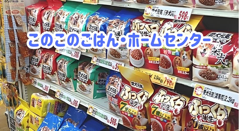 このこのごはん