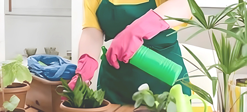農薬や殺虫剤