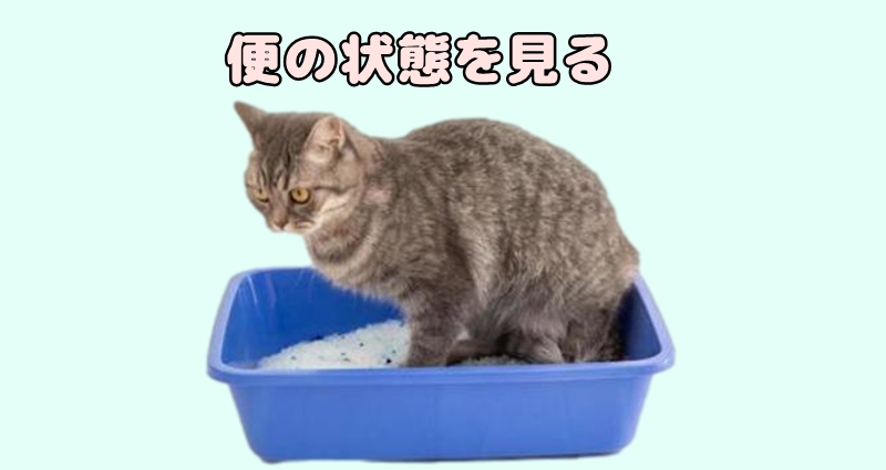 給与量が多いか少ないか便を見る