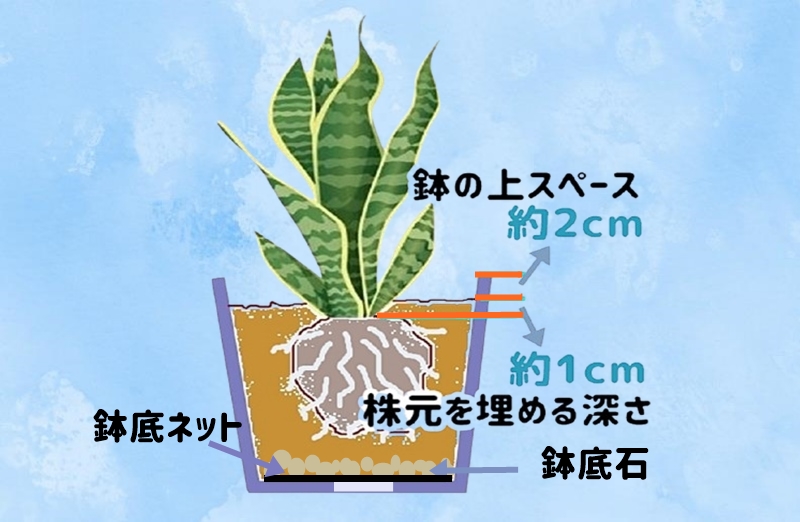 植え替えの説明図