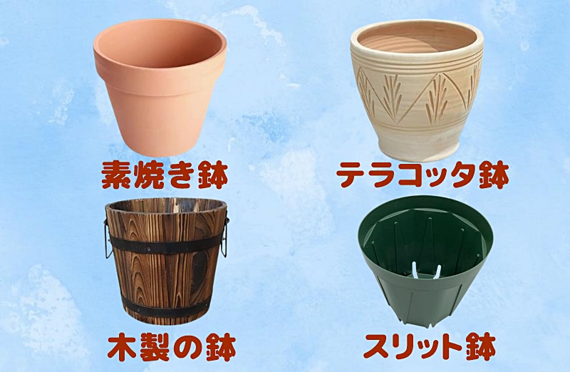 鉢の種類
