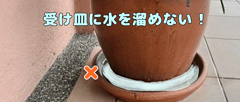 受け皿に水を溜めない