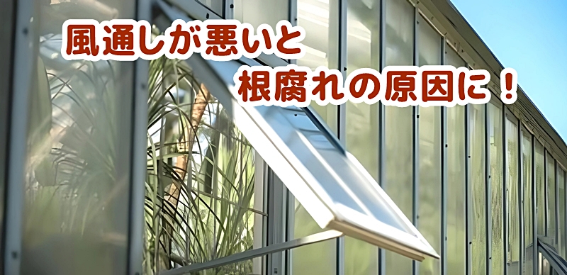 風通しがない場所では根腐れの原因に!