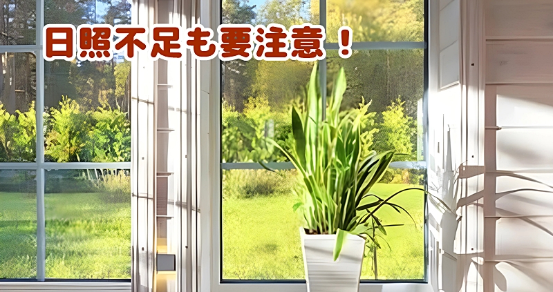 日照不足も要注意