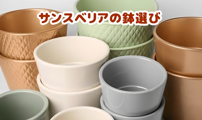 鉢の種類