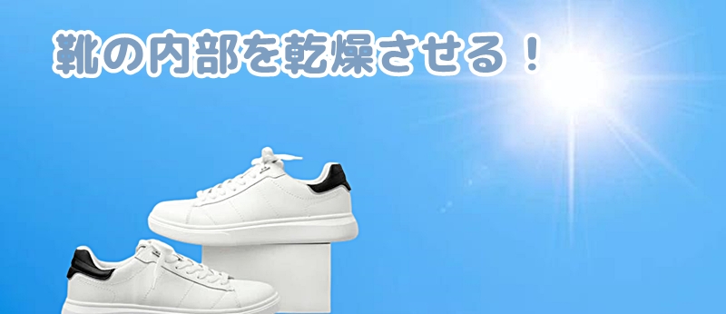 太陽光で靴の内部を乾燥させる様子