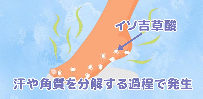イソ吉草酸が足に発生した様子