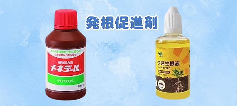 発根促進剤