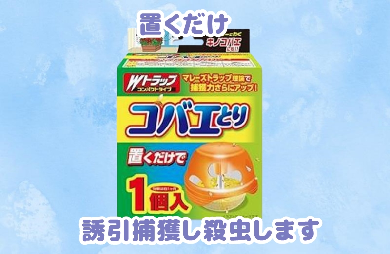 置くだけタイプの殺虫剤