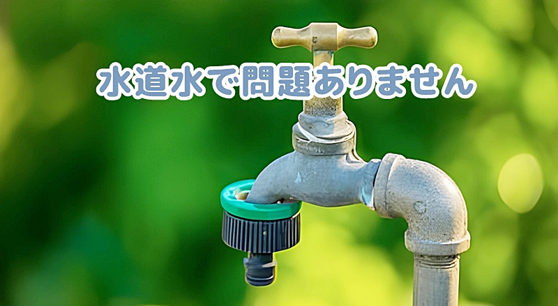 水道水で問題ありません