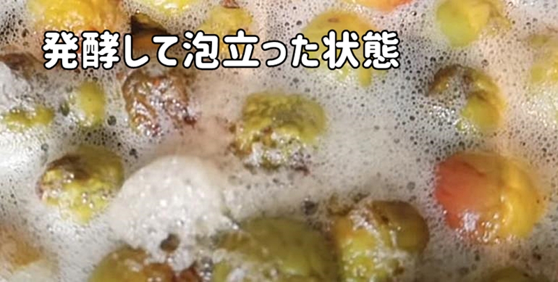 発酵して泡立った状態