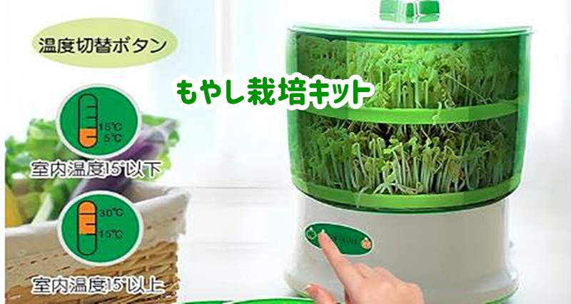もやし栽培キット