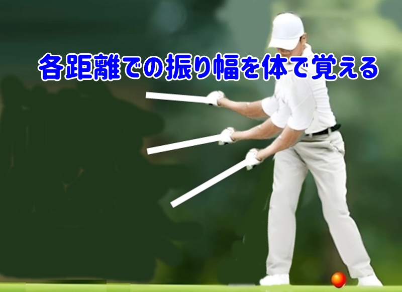 各距離での振り幅の様子