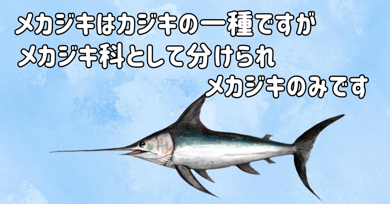 メカジキ