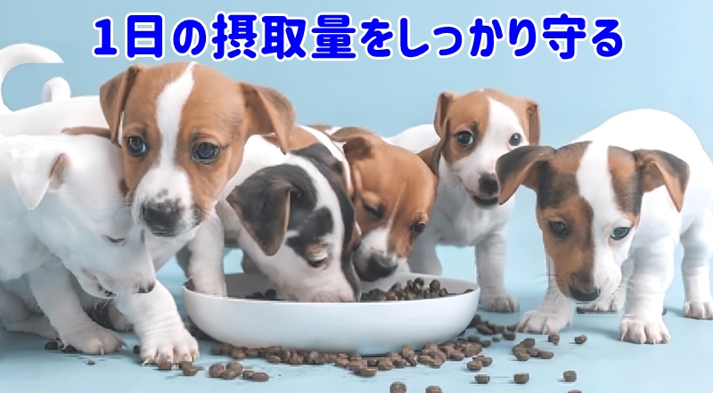給与量を守る
