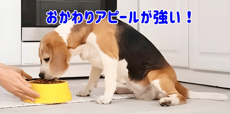 おかわりアピールが強い
