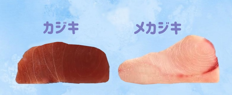 カジキとメカジキの身の比較写真