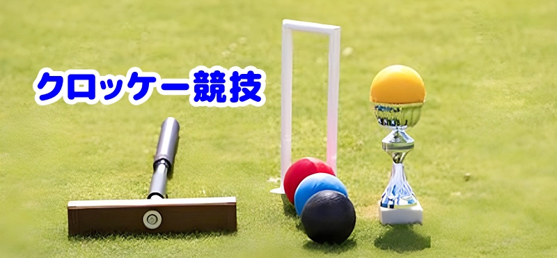 クロッケー競技