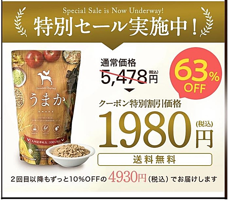 初回1980円