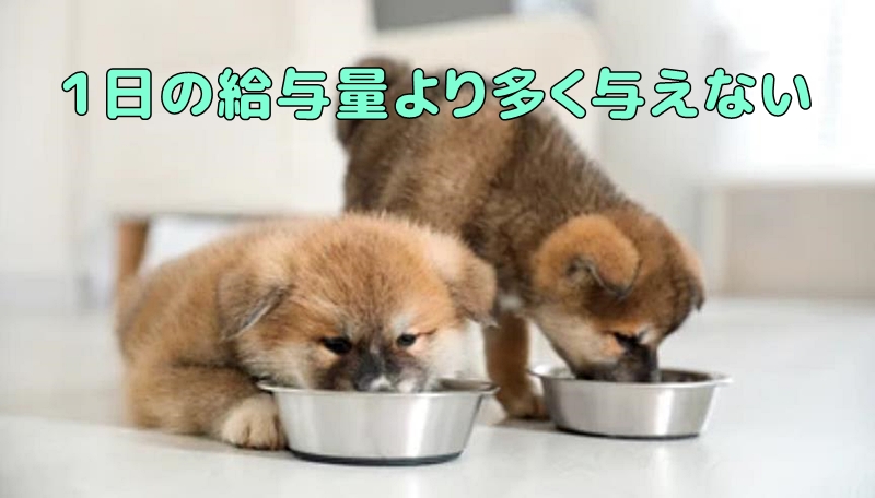 うまかの適正量を与える