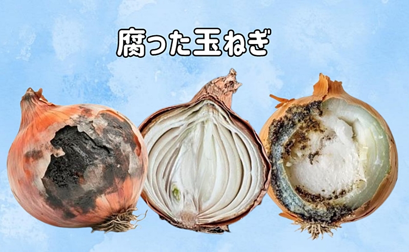 腐った玉ねぎ