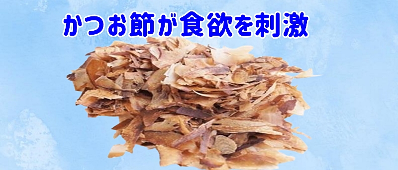 鰹節が犬の嗅覚と味覚を強く刺激します