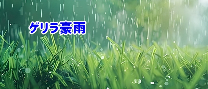 ゲリラ豪雨の様子
