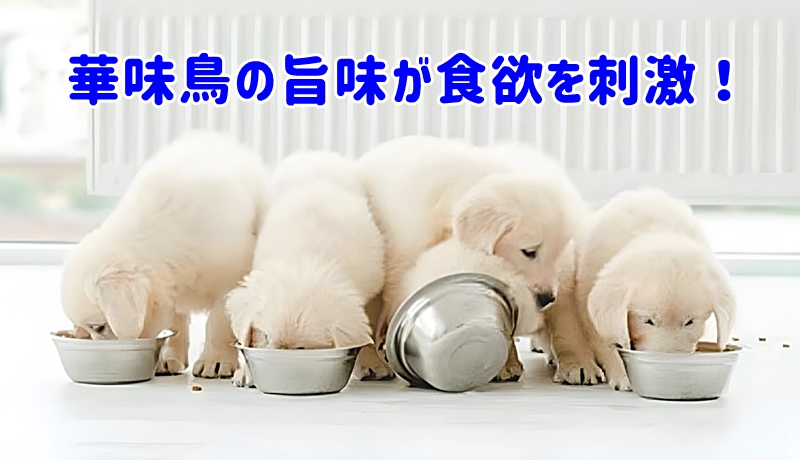 食べる犬達
