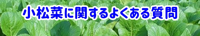 小松菜に関するよくある質問