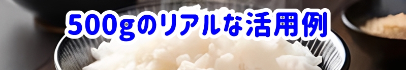 500gのリアルな活用例