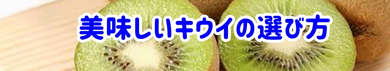 美味しいキウイの選び方