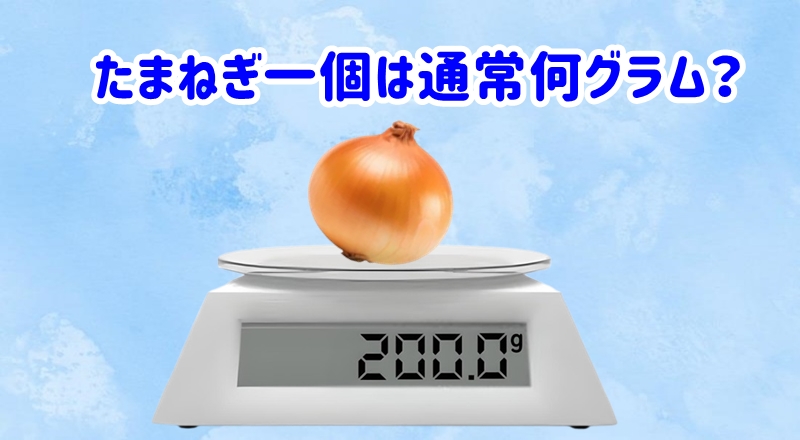 たまねぎ一個は通常何グラム?