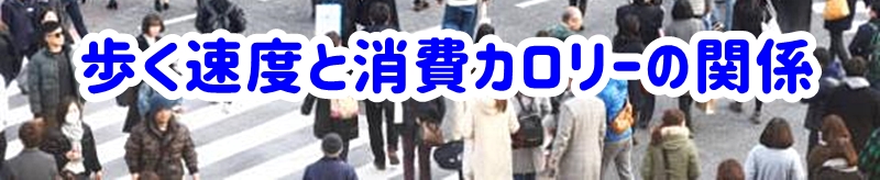 歩く速度と消費カロリーの関係