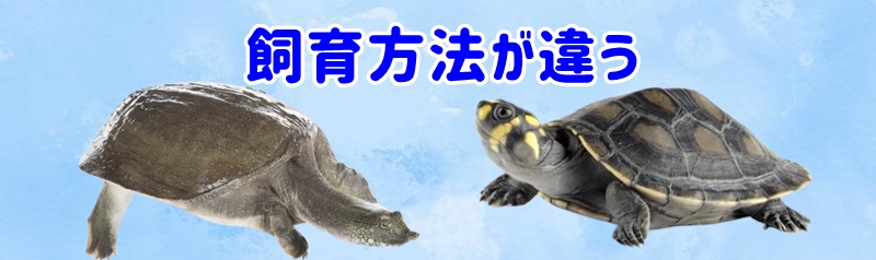 飼育方法が違う