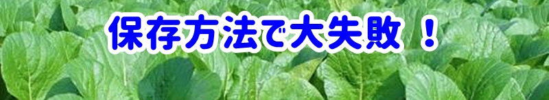 保存方法で大失敗!