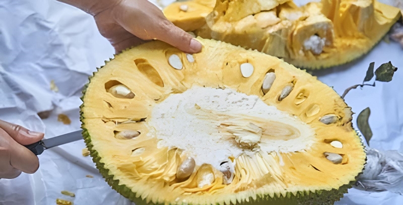 ジャックフルーツ