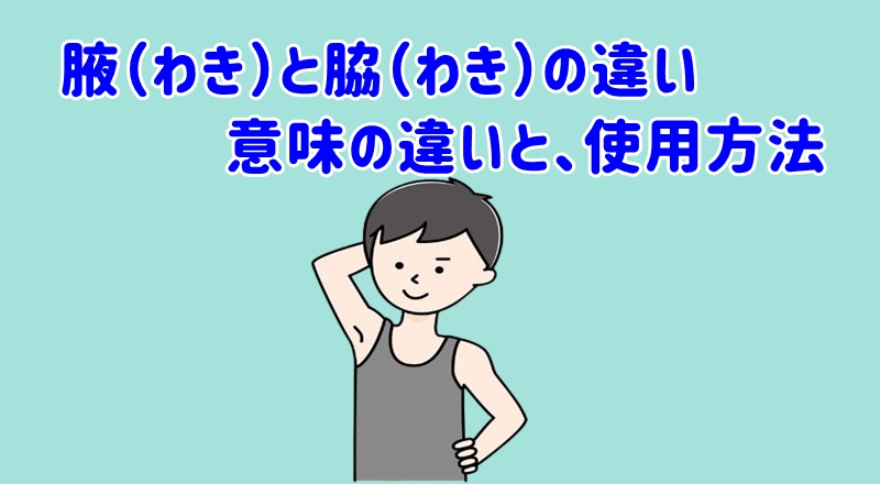 腋と脇の違い