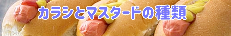 カラシとマスタードの種類